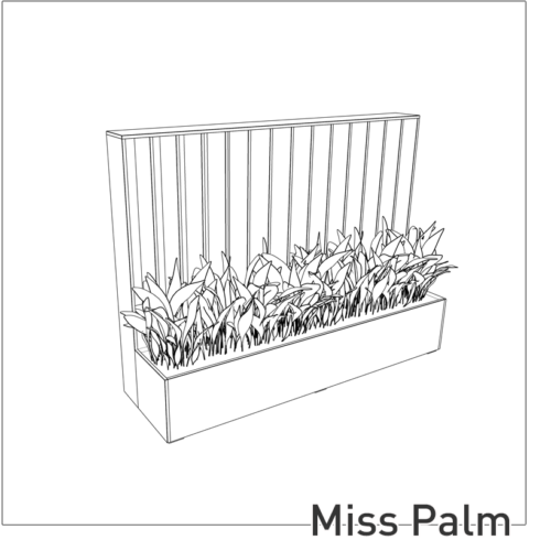 Miss Palm