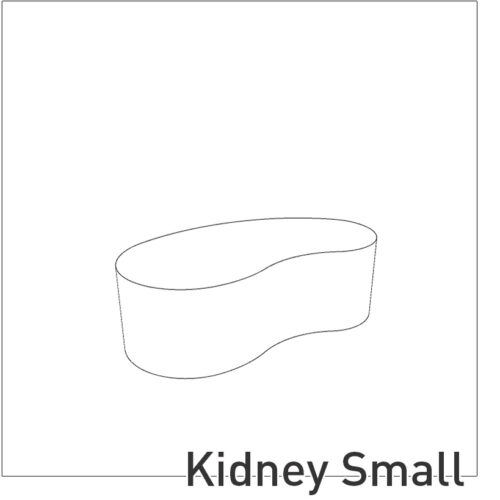 Kidney Small