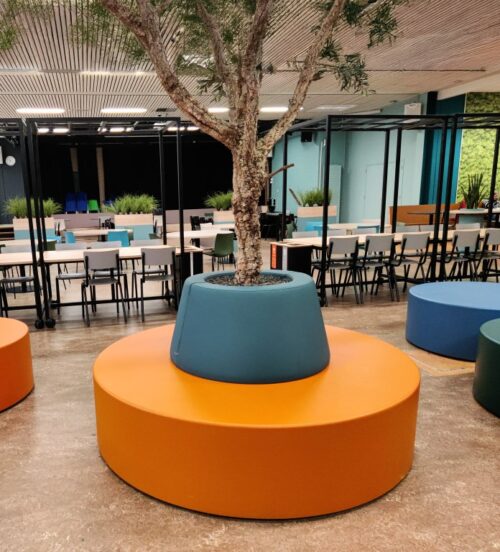 Lounge Disc Planter - Afbeelding 8