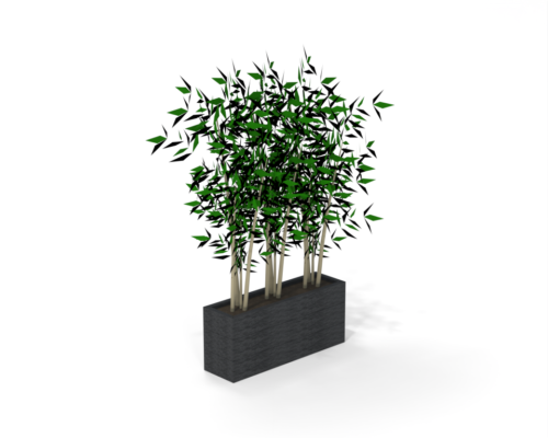 Captain Bamboo - Afbeelding 2