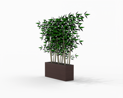 Captain Bamboo - Afbeelding 4