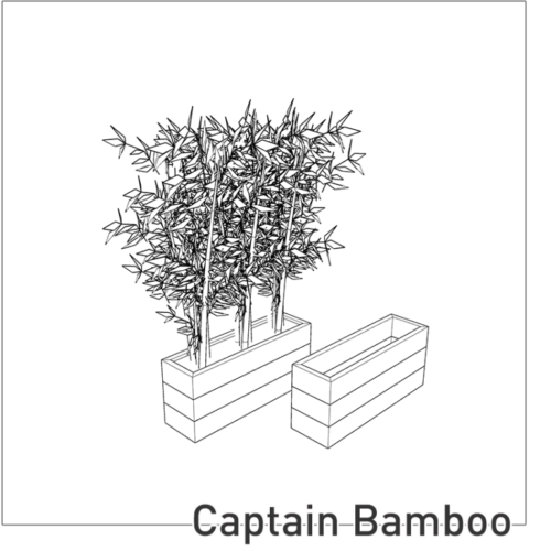 Captain Bamboo