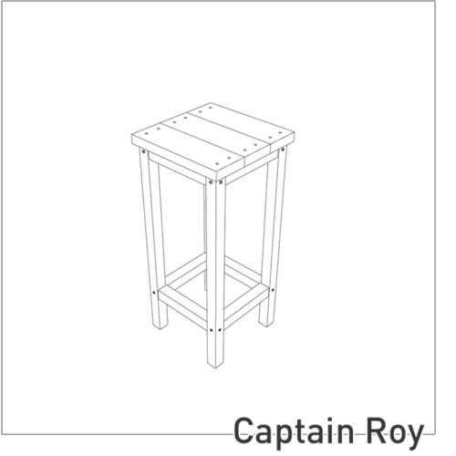 Captain Roy