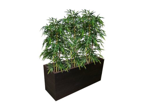 Captain Bamboo - Afbeelding 6